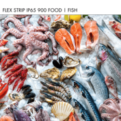 Flex Strip IP65 900 Food