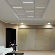 Linear Ceiling M